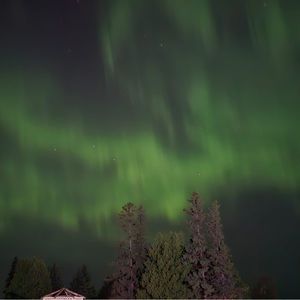 Meet your Posher, Delano